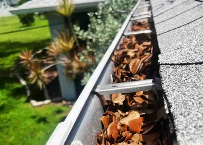 North Druid Hills gutter cleaning home page